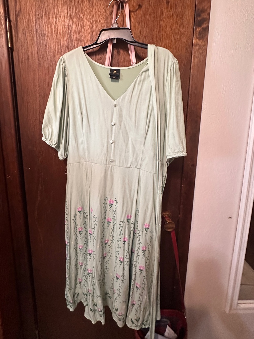 ThePrincess and the Frog Disney Sage Green Floral Dress with Pink Embroidery